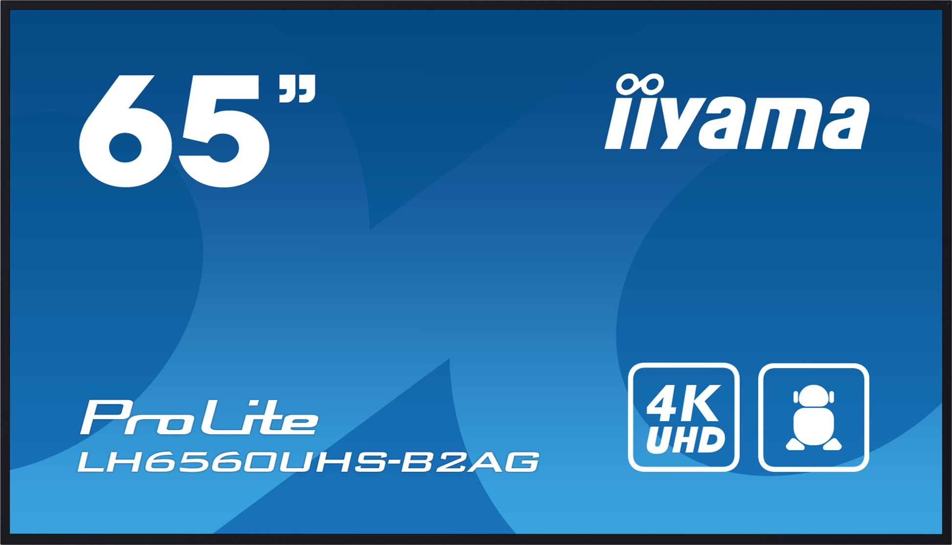 iiyama ProLite – Signage-Display, 64,5", Ultra HD 4K, 500 cd/m², 24/7