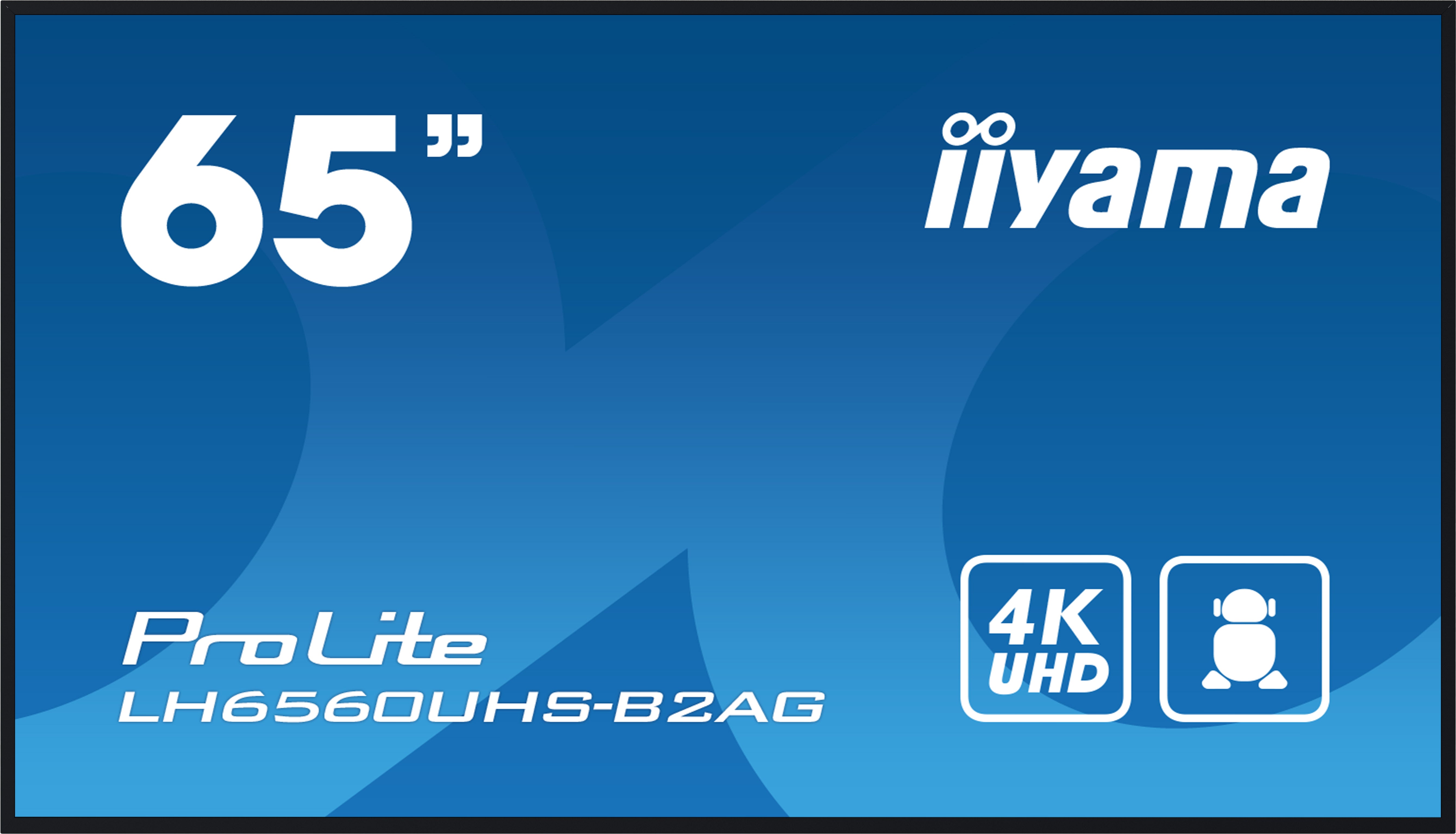 iiyama ProLite – Signage-Display, 64,5", Ultra HD 4K, 500 cd/m², 24/7