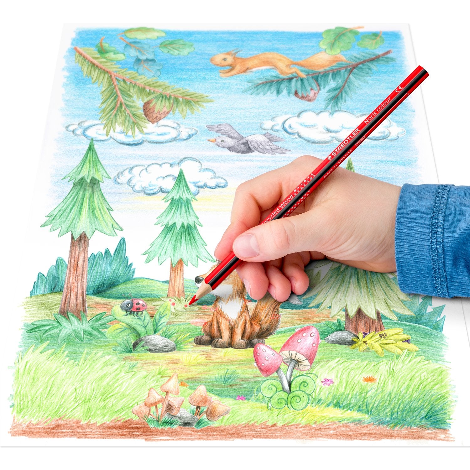Staedtler Buntstifte Noris colour Upcycling – 24 Farben, im Kartonetui, dreikantig, PEFC