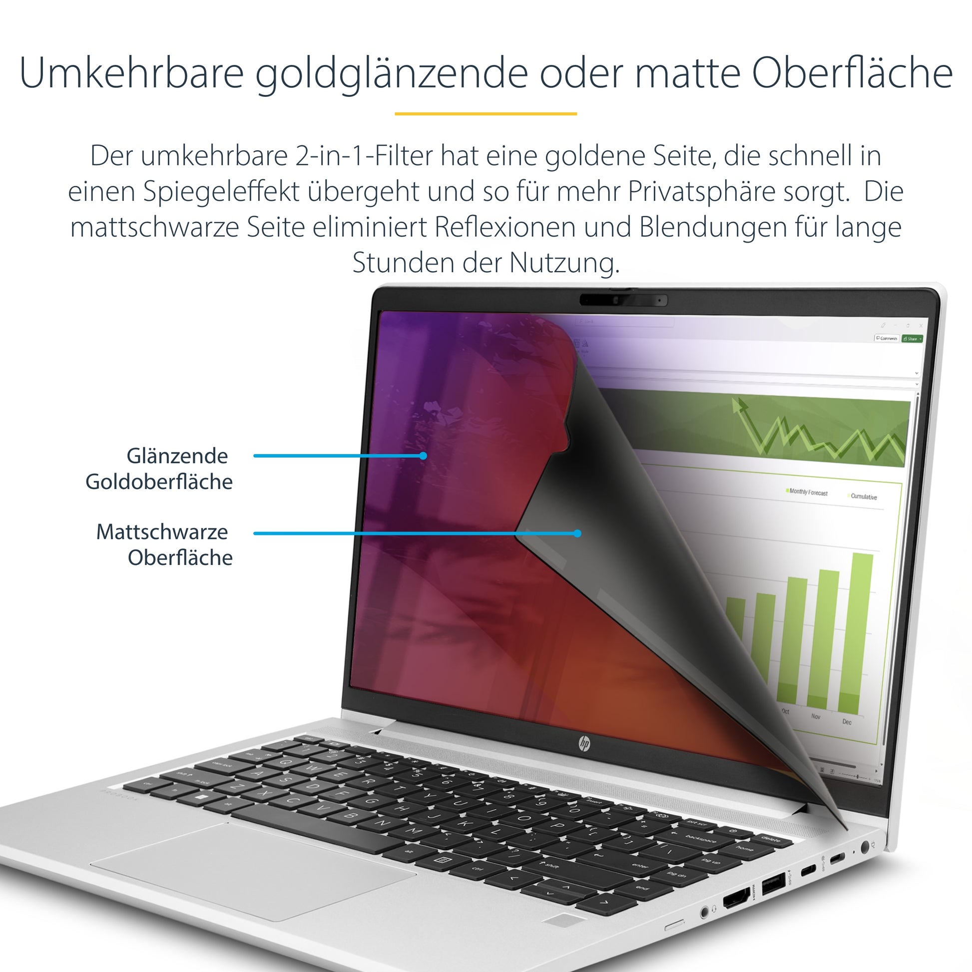 StarTech.com Displayschutz für 15,6" Laptop – Gold