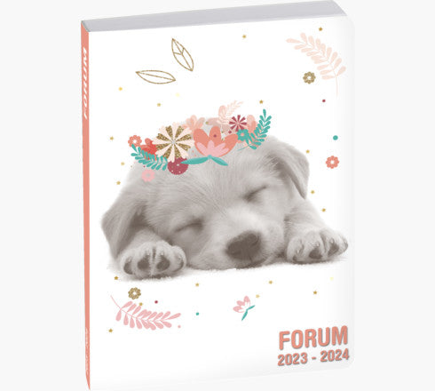 Exacompta Forum Lovely – Schulagenda 2026/27, 1 Tag/1 Seite, 12,0 × 13,2 cm, Französisch