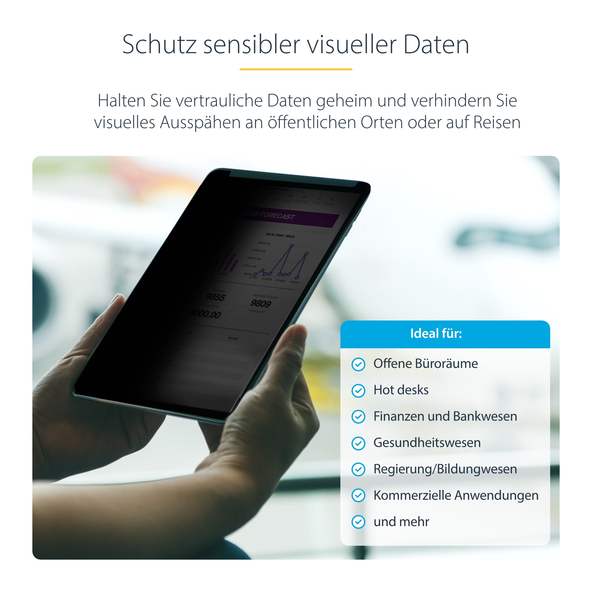 StarTech.com 11IP Sichtschutz-Zubehörtasche – für iPad Pro 11"