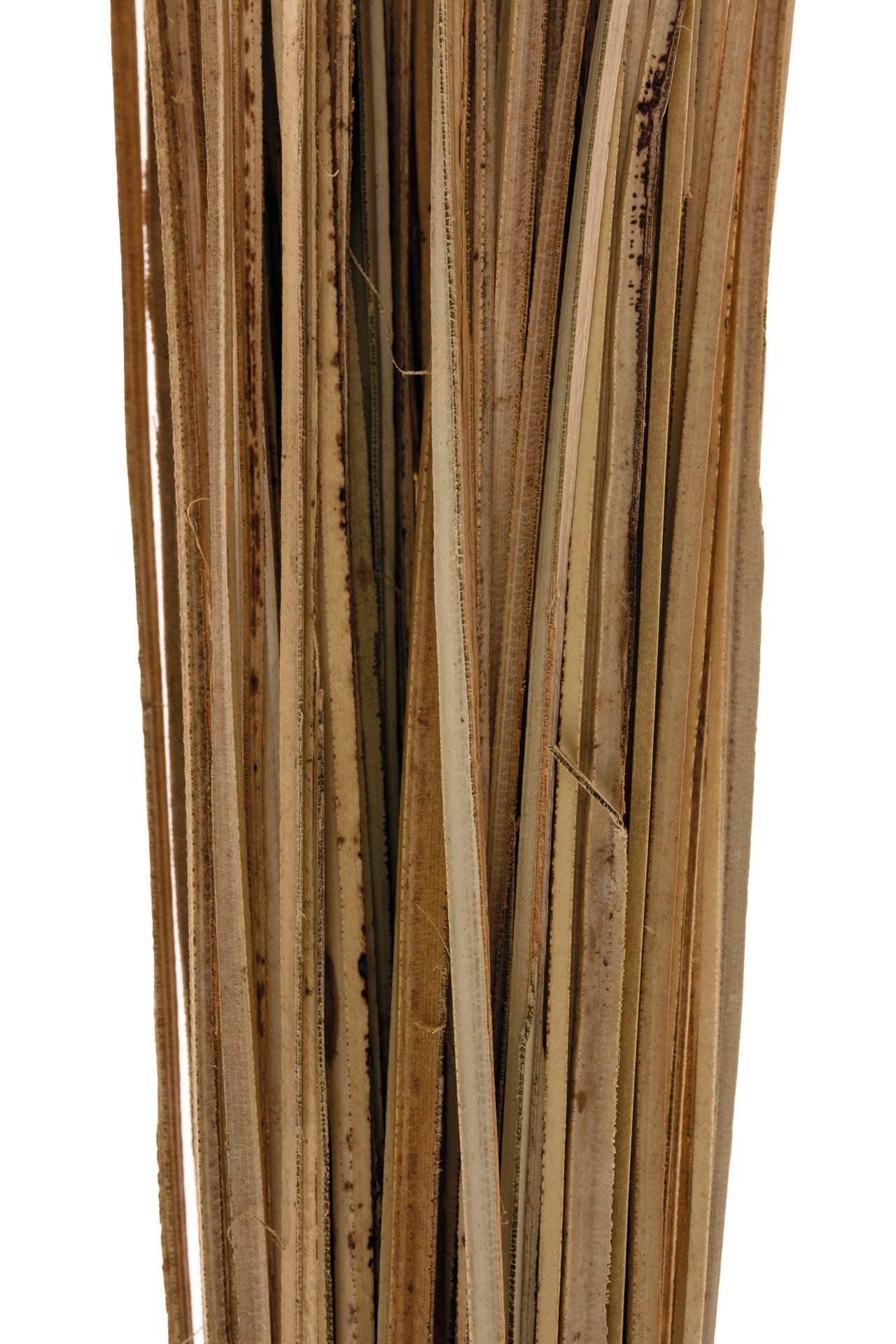 Opiflor Kunstpflanze – 70 cm – Rattan, natur