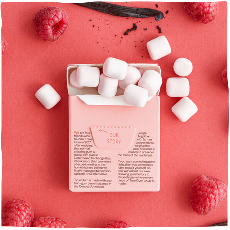 True Gum Kaugummi – Himbeere & Vanille, zuckerfrei, vegan – 21 g