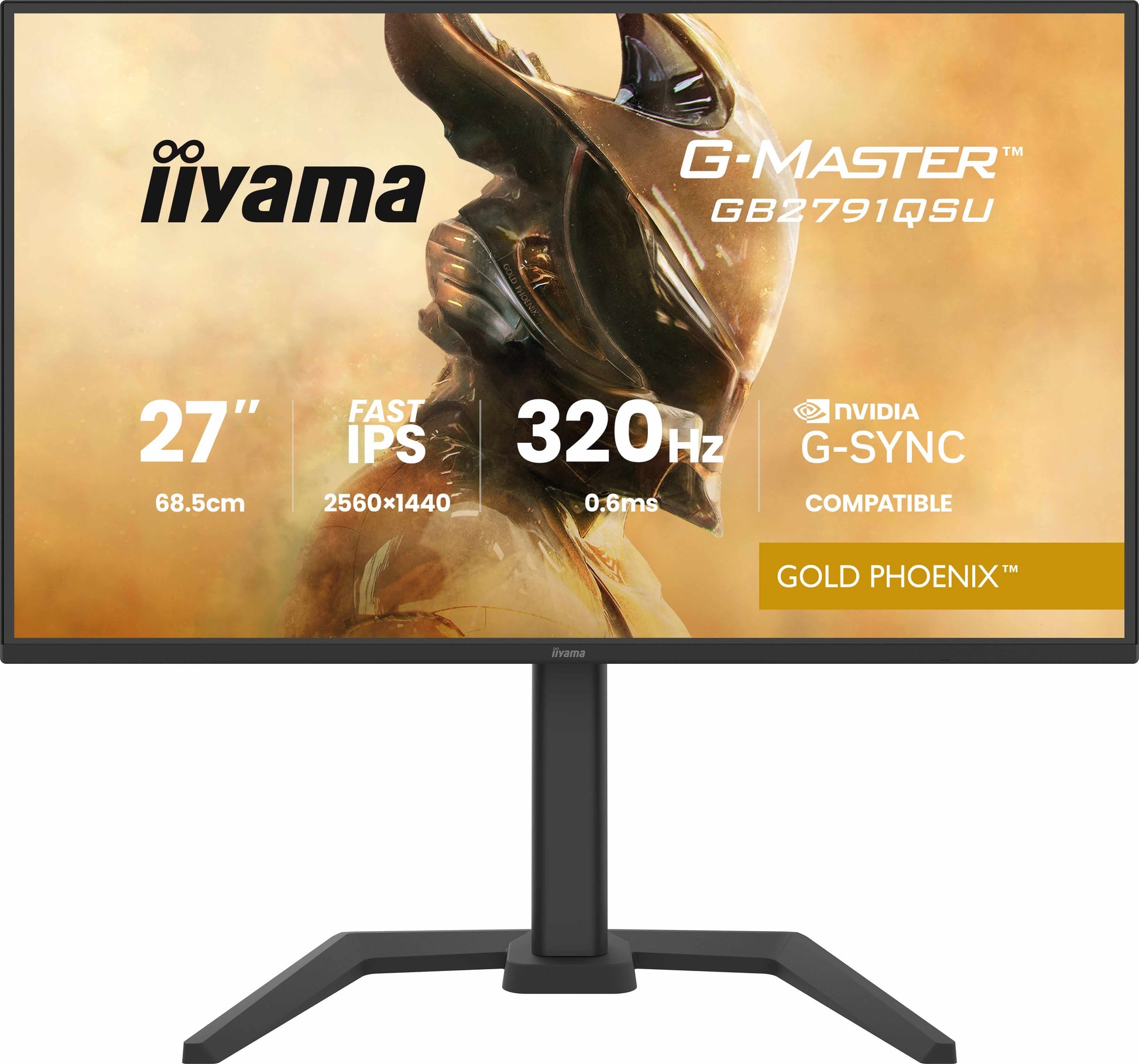 iiyama GB2791QSU-B1 – 27", 2560 × 1440 (WQHD), IPS, 320 Hz, USB-C 5 W