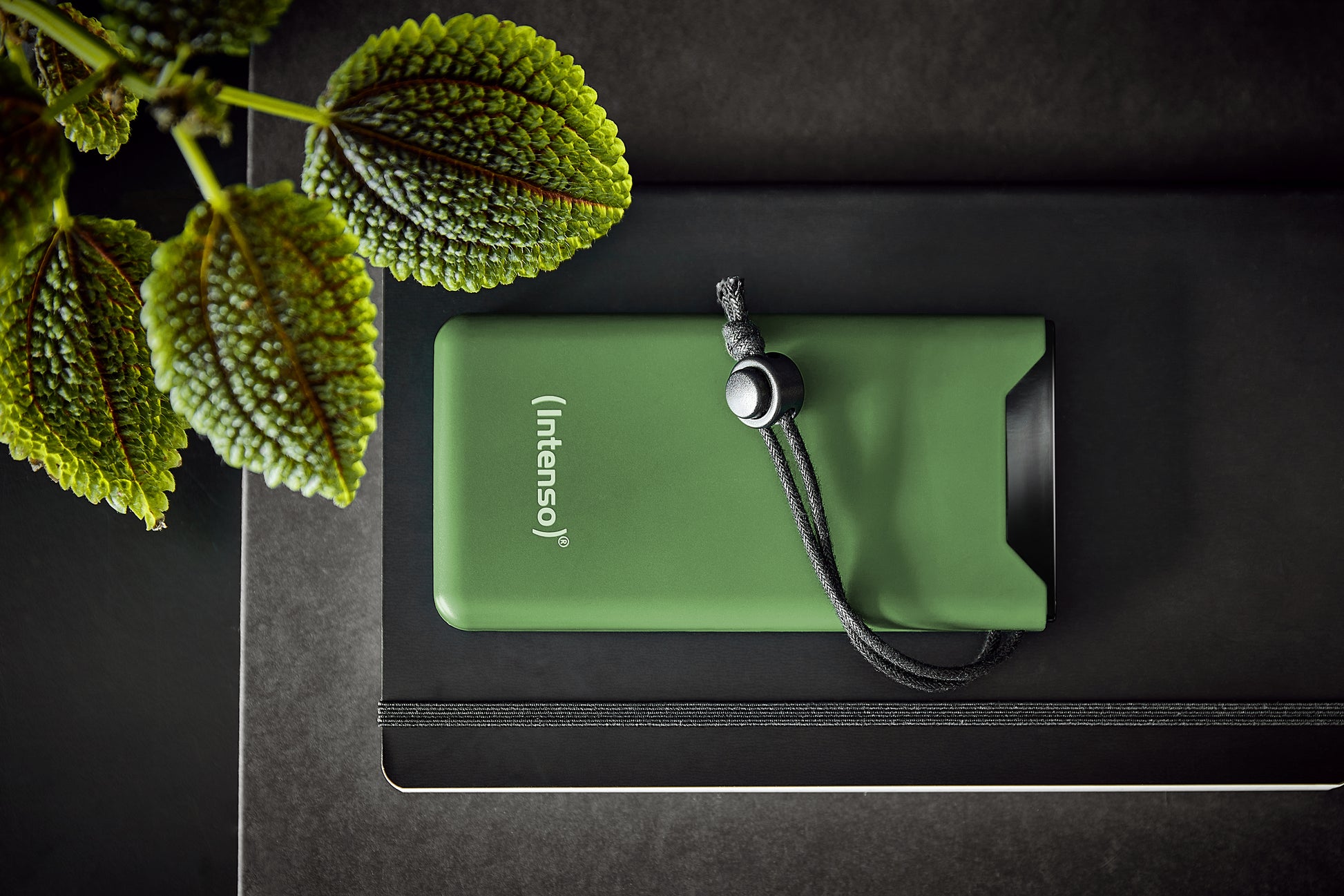 Intenso F10000 Powerbank 10'000 mAh – 20 W PD, 1× USB-C, 1× USB-A, grün