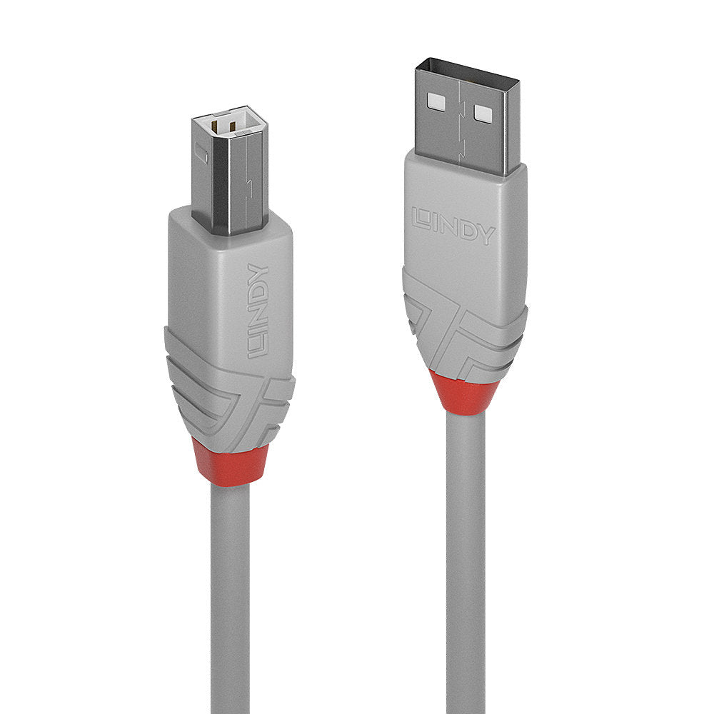 Lindy USB-Kabel, USB-A zu USB-B, 1 m, USB 2.0