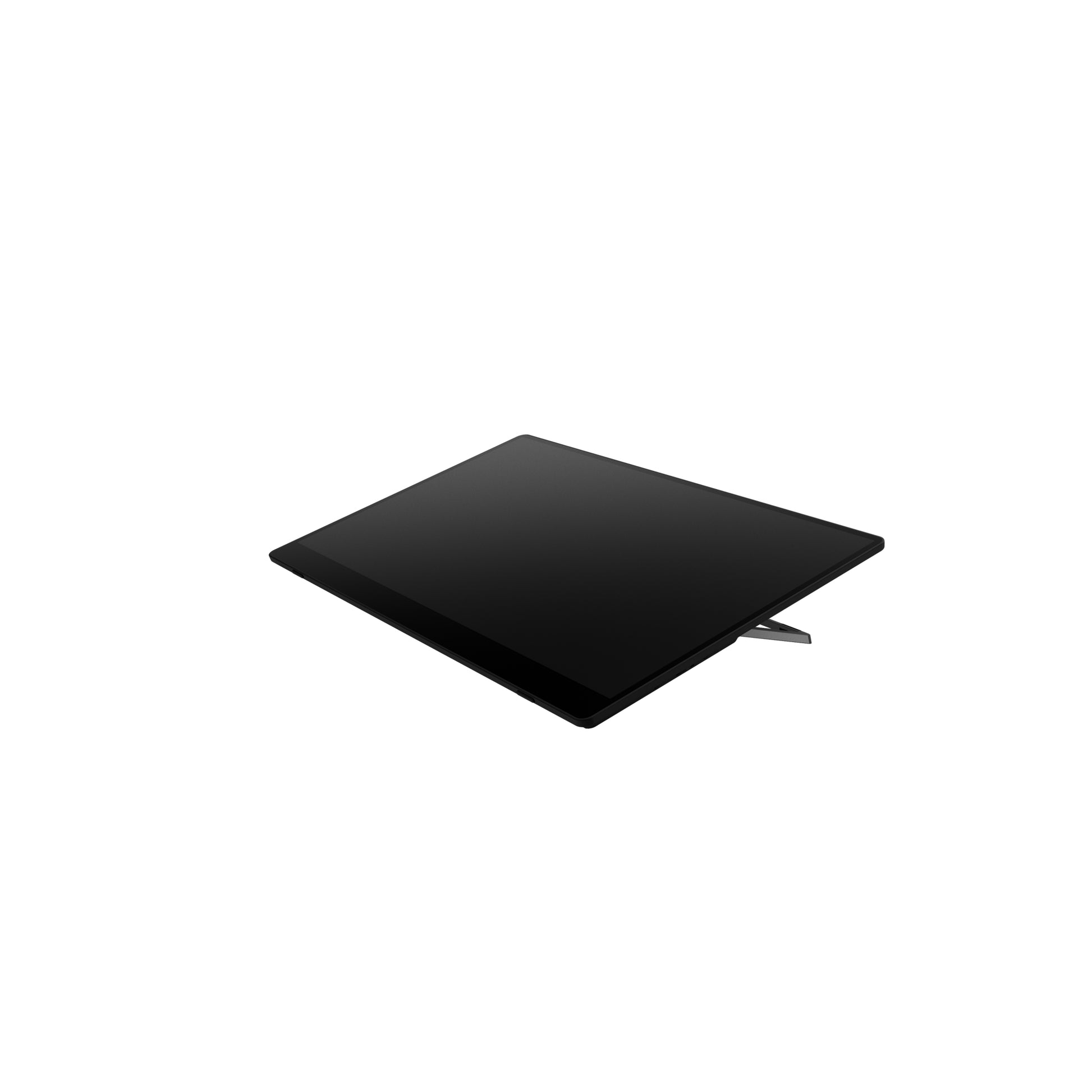 Ricoh 150BW – Tragbarer Monitor, 1080p Display