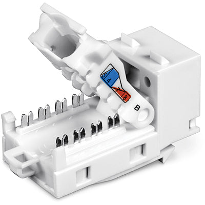 TRENDnet TC-K50C6 – Keystone-Buchsen Cat6, werkzeuglos, 50×, abgewinkelt, RJ-45, 10GBase-T, Weiss, für TC-KP24