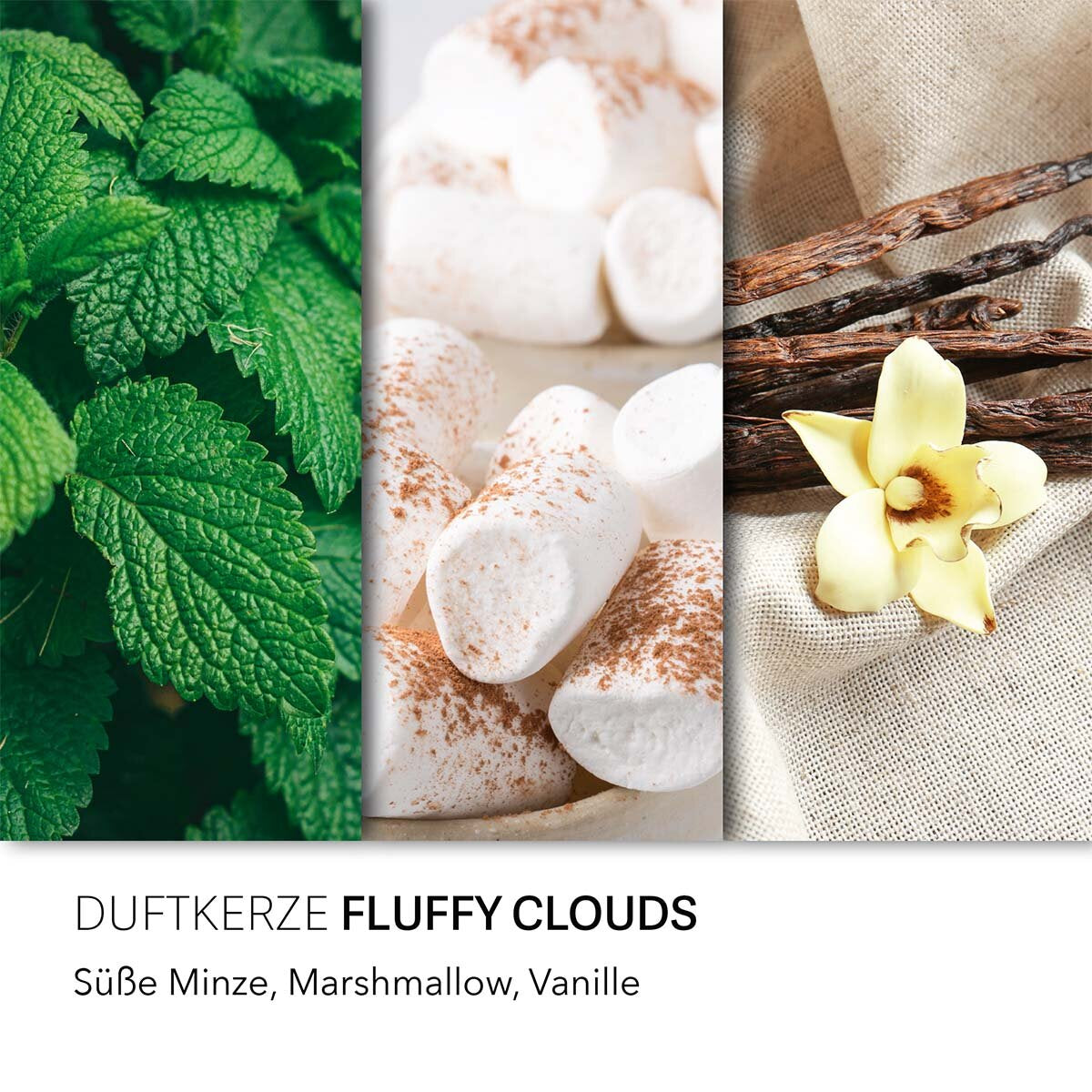 Balthasar Duftkerze – Fluffy Clouds – Ø 10 × 9,5 cm – 50 h