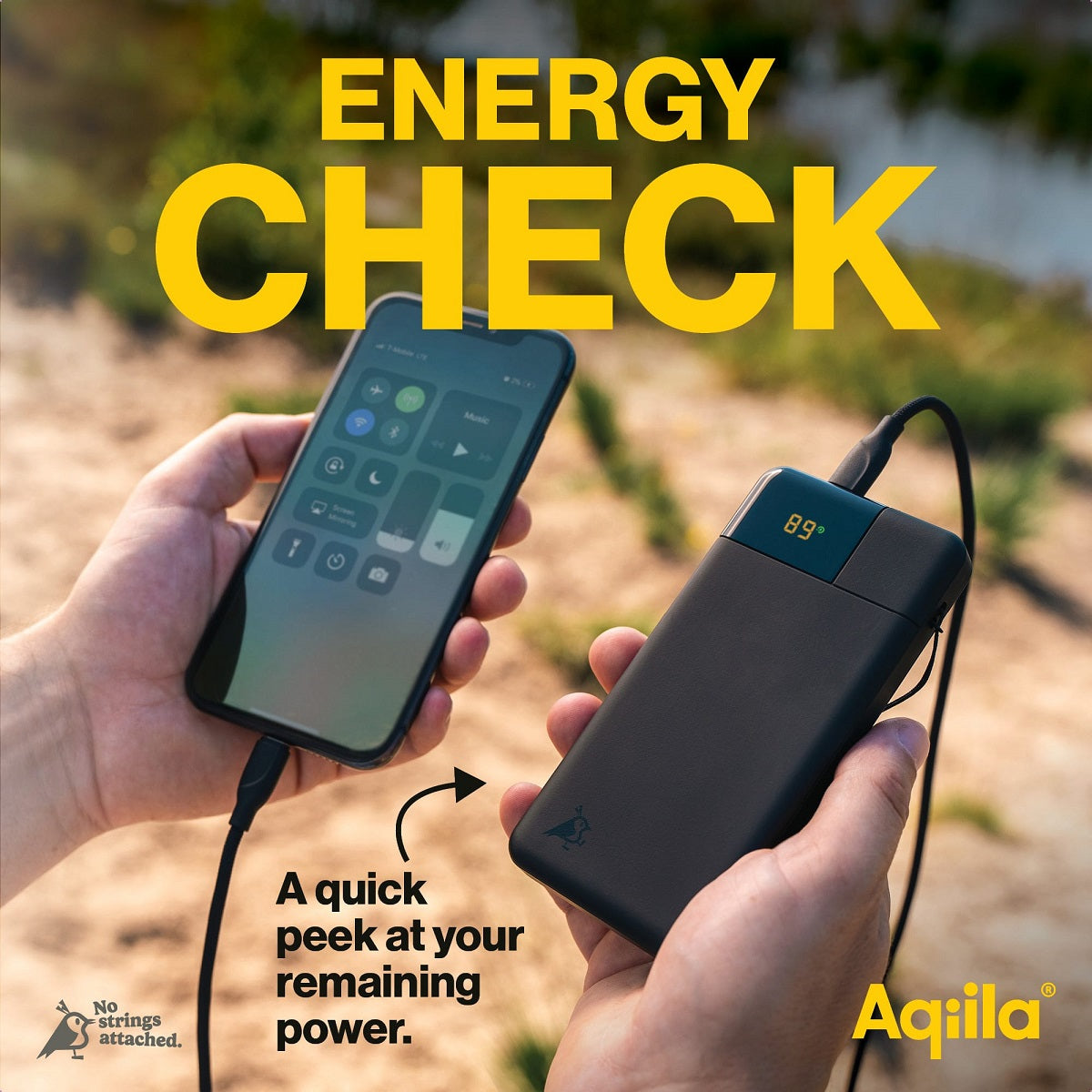 Aqiila Powerbird B10 Powerbank 10'000 mAh – 20 W PD, 2× USB-C, 1× USB-A, grün
