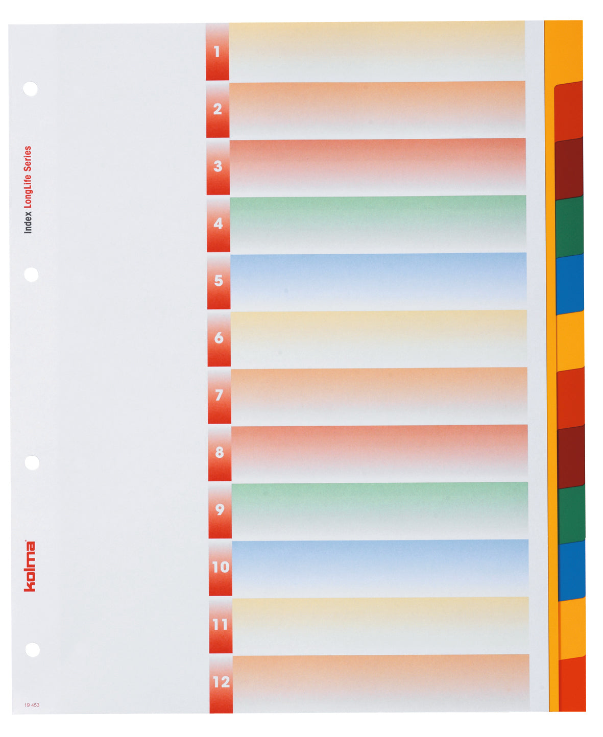 Kolma LongLife XL Register – A4, 12-teilig, PVC, farbig, unbedruckt, Indexblatt, 4-fach gelocht, überbreit