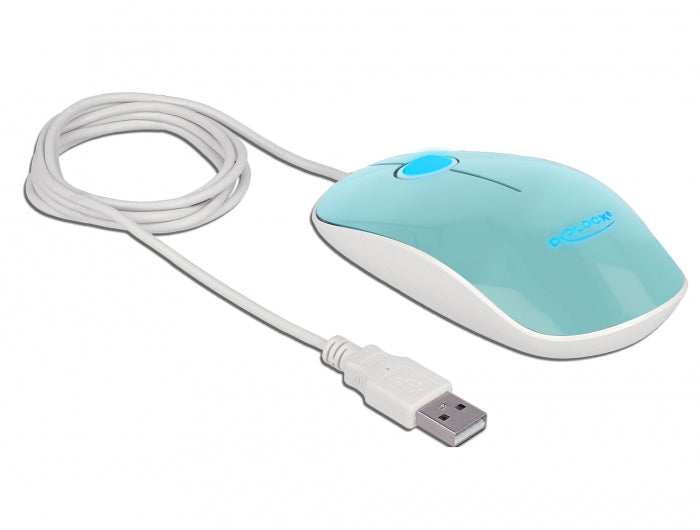 DeLOCK 12538 – Maus – Kabelgebunden (USB‑A), beidhändig, Türkis
