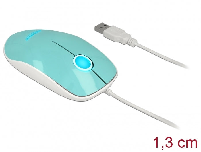 DeLOCK 12538 – Maus – Kabelgebunden (USB‑A), beidhändig, Türkis