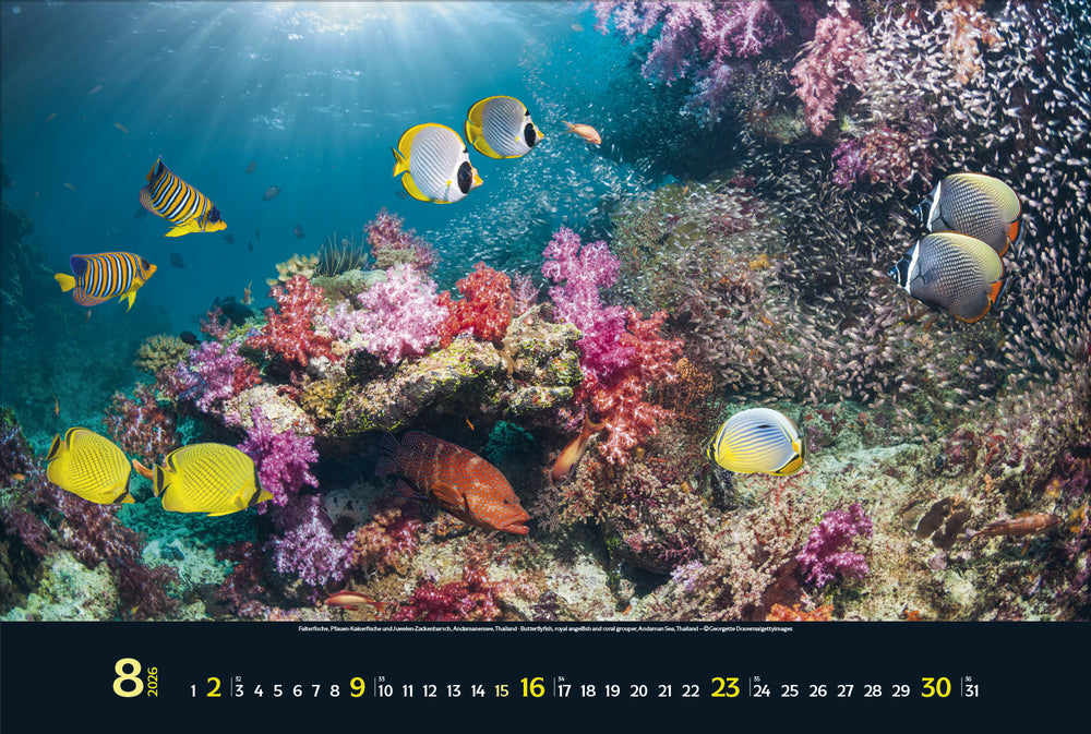 Korsch Verlag Magie der Meere – Bildkalender 2026 – 58 × 39 cm