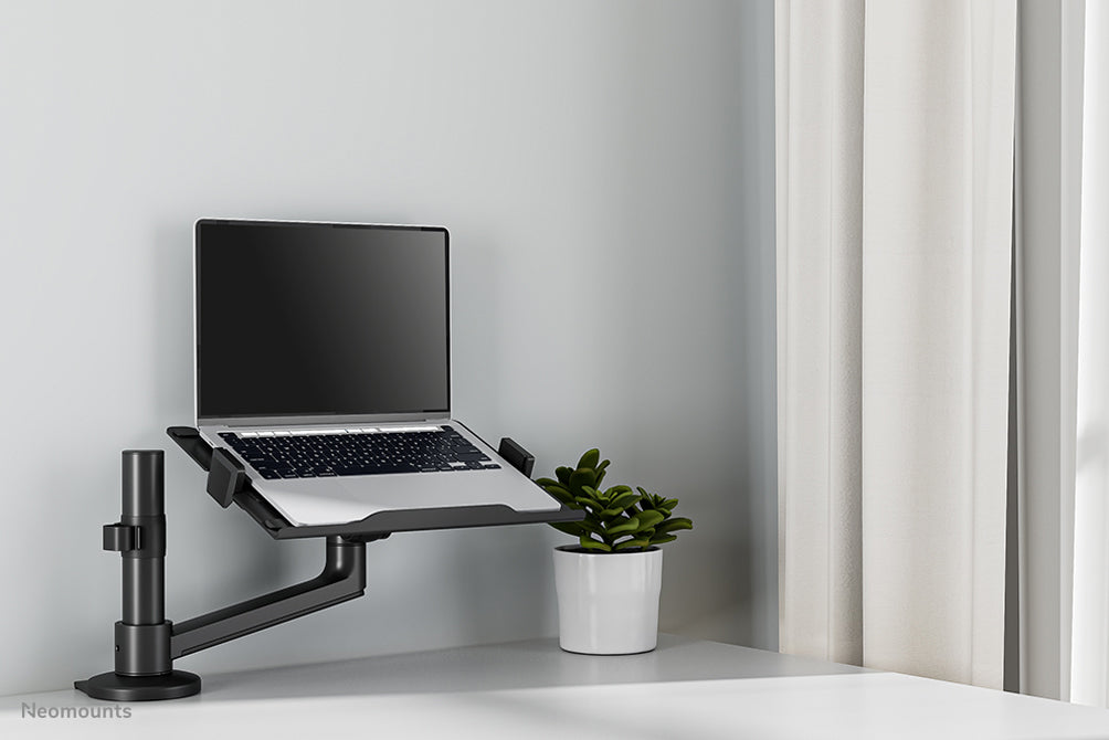 Neomounts Laptop-Arm (Klemme/Durchführung) – für Notebooks bis 17,3" – VESA 100×100, 5 kg – Schwarz