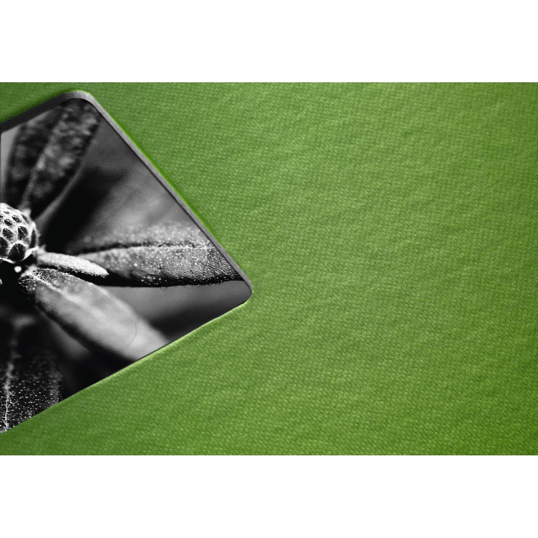 Hama Fotoalbum – für 360 × 320 mm, apfelgrün, mit Pergaminzwischenblättern, mit Spiralbindung, Papier
