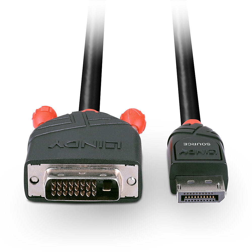 Lindy DisplayPort (Stecker) auf DVI (Stecker) Adapter, DP 1.1, 1 m