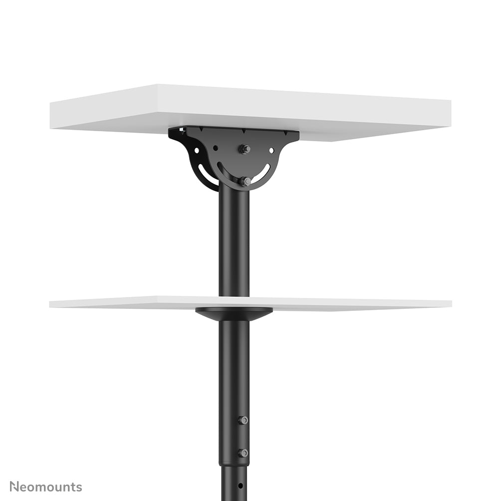 Neomounts Deckenhalterung – Back-to-Back – 32–60" – VESA 200×200–400×400 – bis 45 kg, Teleskopmast