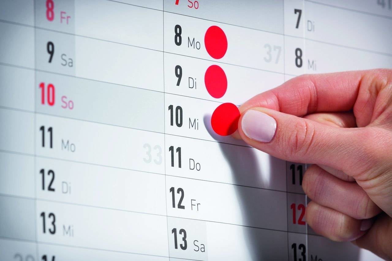 AVERY Zweckform Haftetiketten – Ø 18 mm, permanent, grün, 22 Blätter (1'056 Stk.)