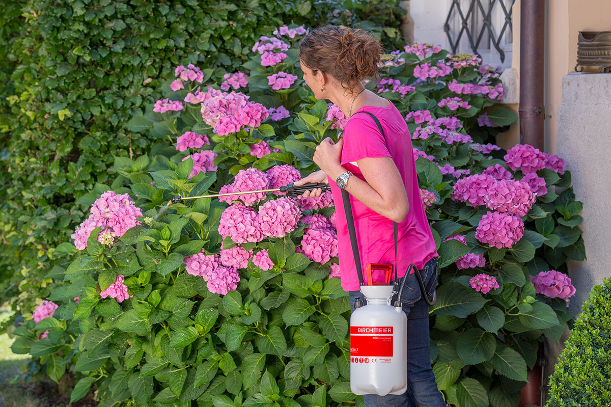 Birchmeier Drucksprühgerät Garden Star 3 – 3 l – 17,7 × 41,5 cm – weiss