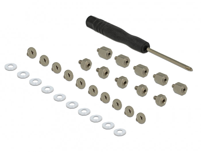 Delock 18288 Schraubenset – für M.2 SSD, Schwarz, Edelstahl, 31-teilig