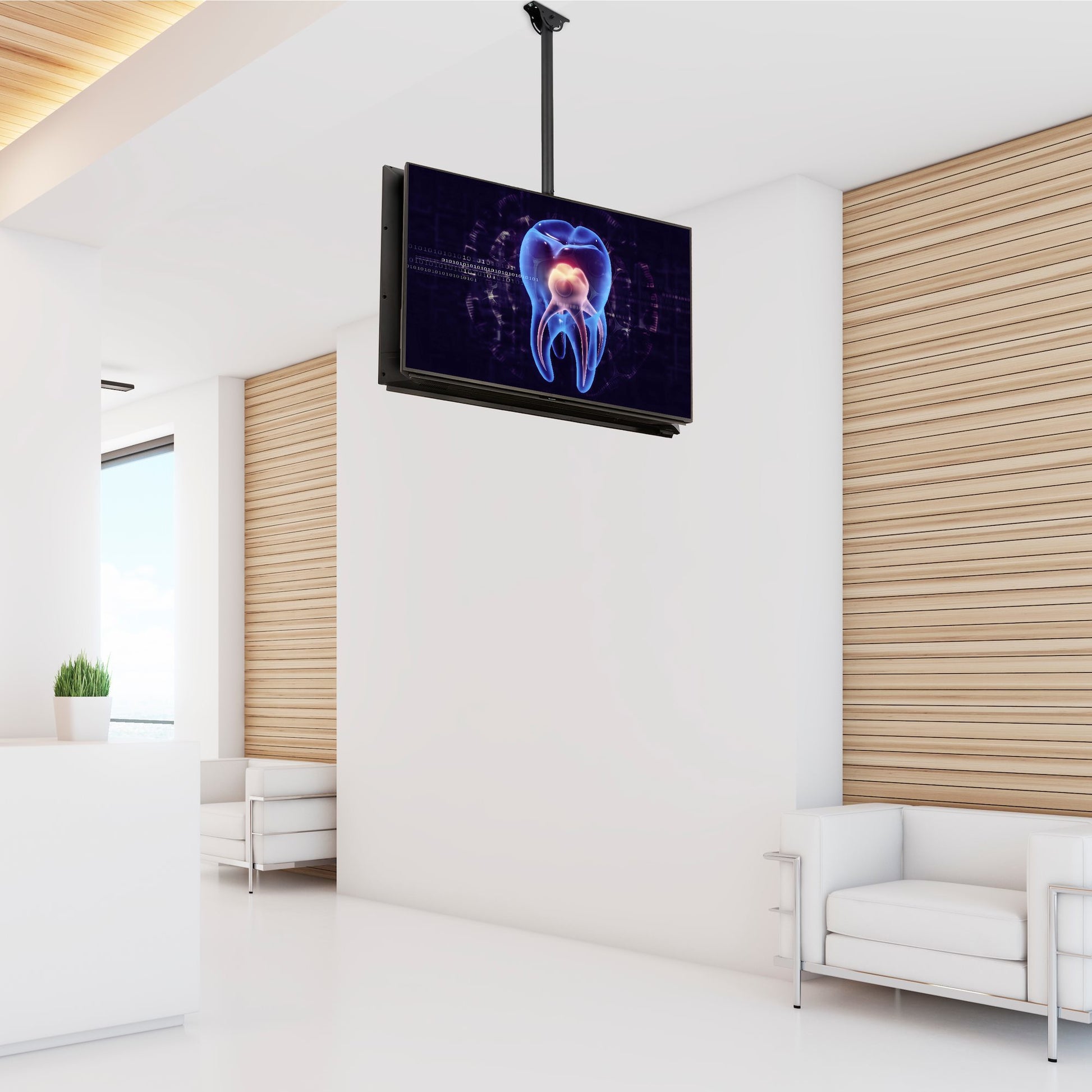 StarTech.com Deckenhalterung – Rücken an Rücken – 32–75" – VESA 200×200–600×400 – bis 90 kg, Teleskopmast