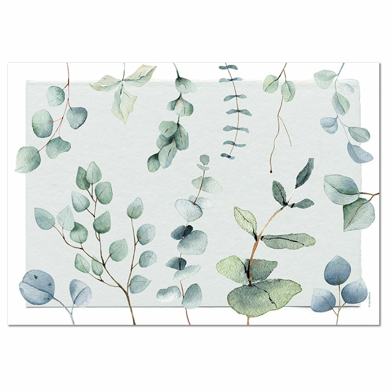 Trendform Tischset Eukalyptus, Papier, 29,7 × 42 cm – FSC – 12 Stk.