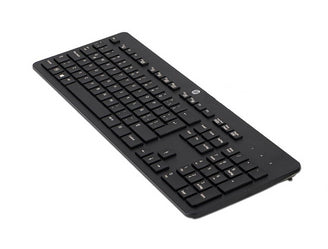 HP Tastatur – 100% – kabelgebunden, USB – Isländisch – schwarz