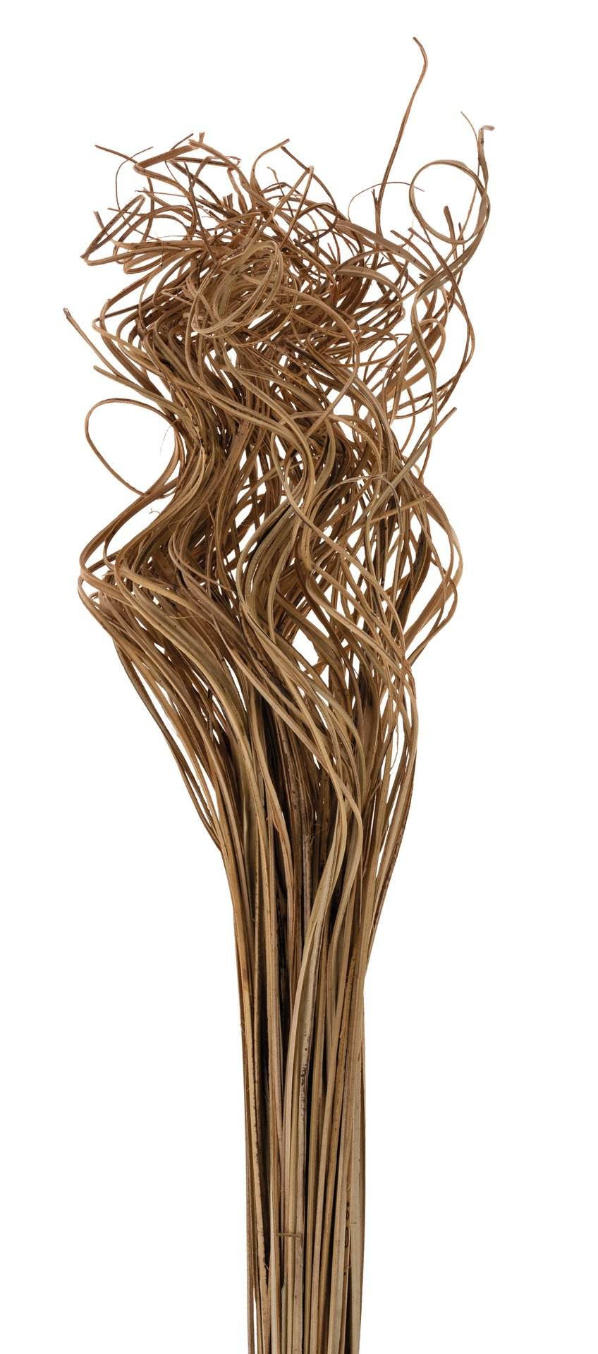 Opiflor Kunstpflanze – 70 cm – Rattan, natur