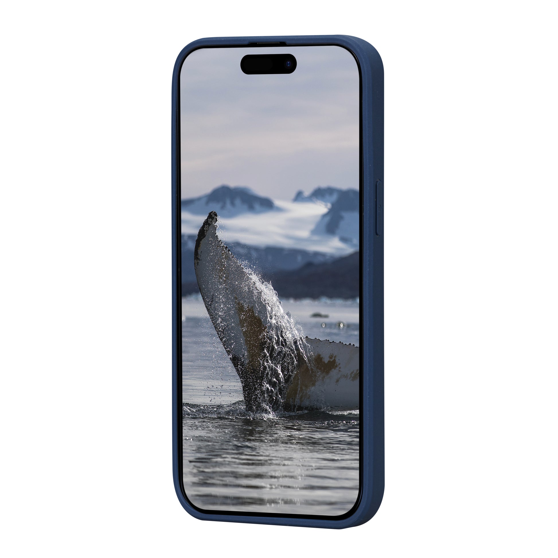 dbramante1928 Backcover Greenland – für Apple iPhone 15 Plus – blau – Recycling-Kunststoff