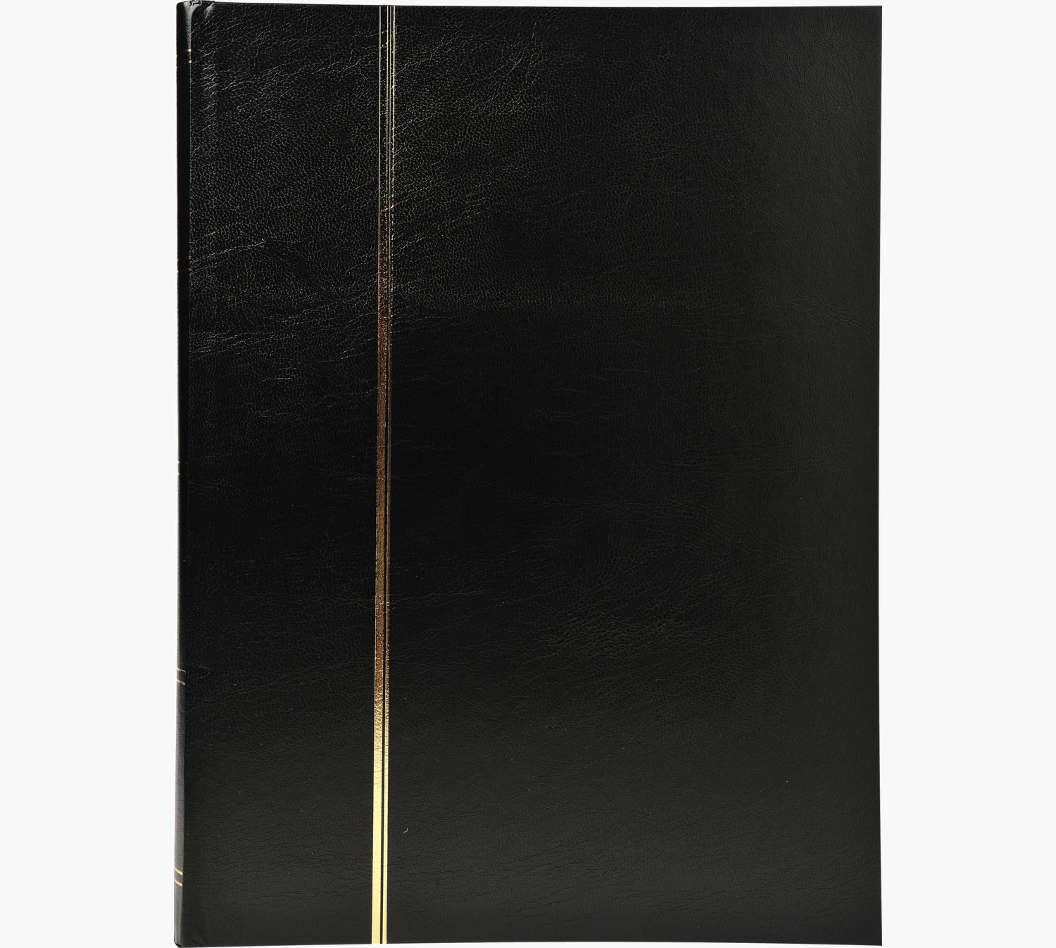 Exacompta Einsteckalbum, 48 Seiten, 22,5 × 30,5 cm, Kunstleder, schwarz