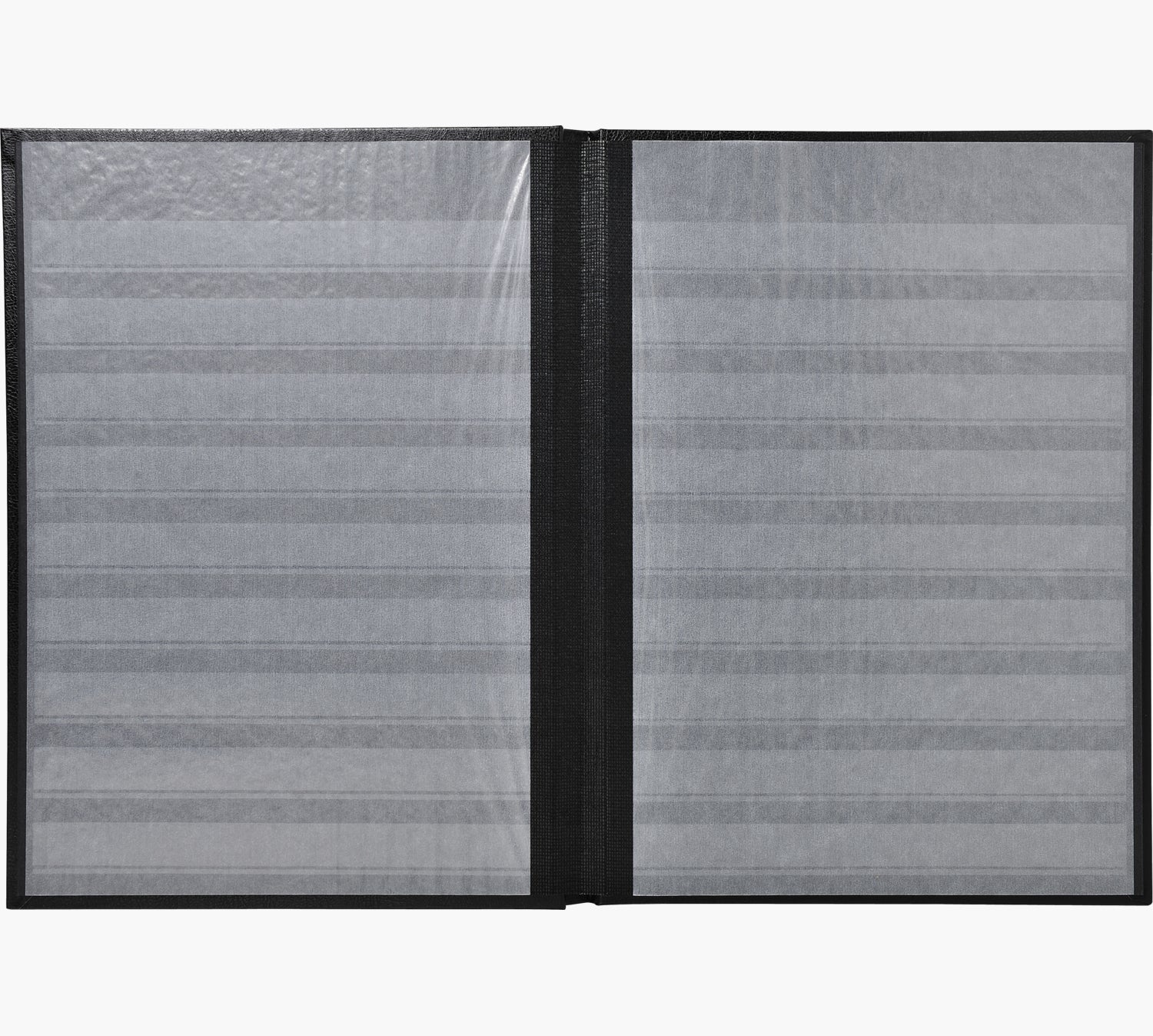 Exacompta Einsteckalbum, 48 Seiten, 22,5 × 30,5 cm, Kunstleder, Grün