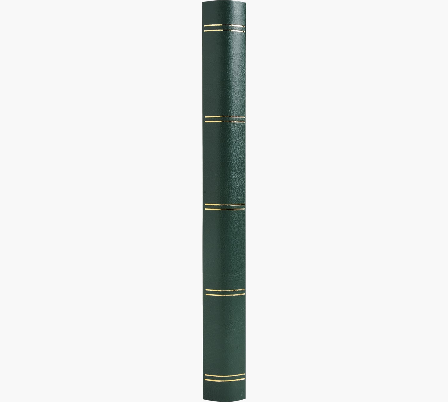 Exacompta Einsteckalbum, 48 Seiten, 22,5 × 30,5 cm, Kunstleder, Grün