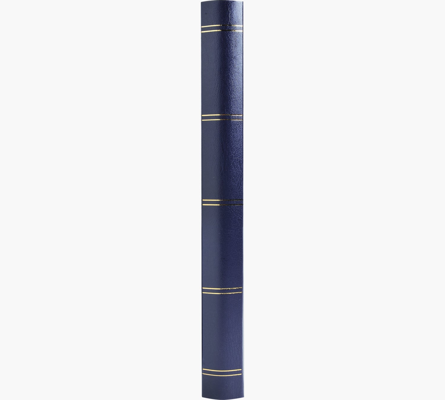Exacompta Einsteckalbum, 48 Seiten, 22,5 × 30,5 cm, Kunstleder, blau, für Briefmarken