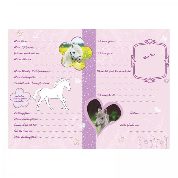 Pagna Süsses Fohlen Freundebuch – 150 × 220 mm – 60 Seiten – deutsch, gebunden, laminierter Papiereinband