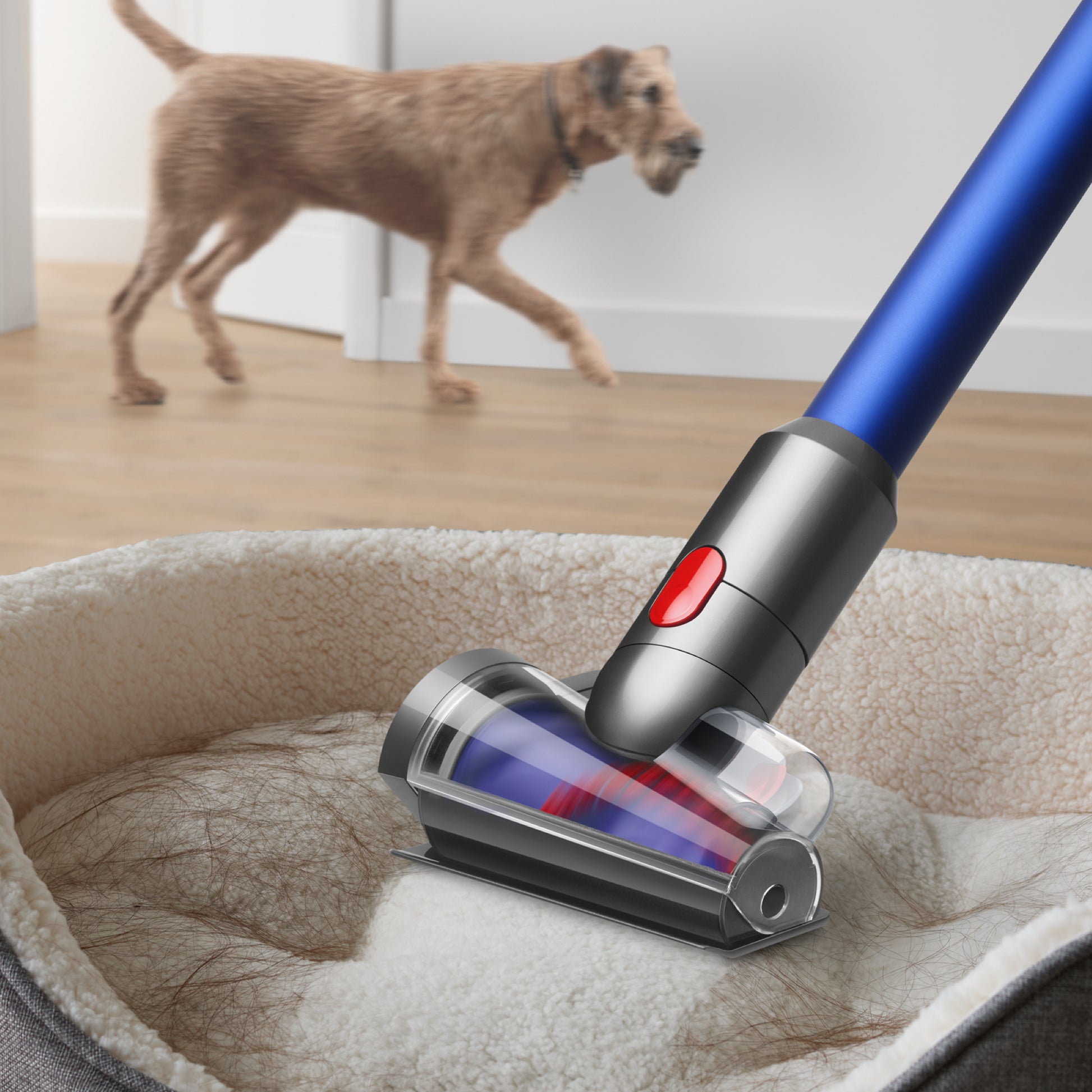 Dyson Staubsaugerbürsten-Set – für V8, V10, V11 und andere