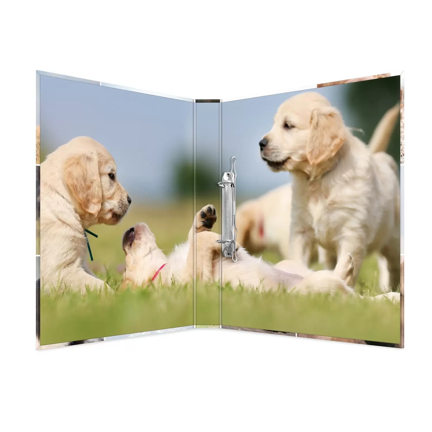 HERMA Zeigebuch Animals – A4 Hochformat – 2-Ring Bügelmechanik, Rücken 35 mm – Mehrfarbig, Karton, mit Niederhalte