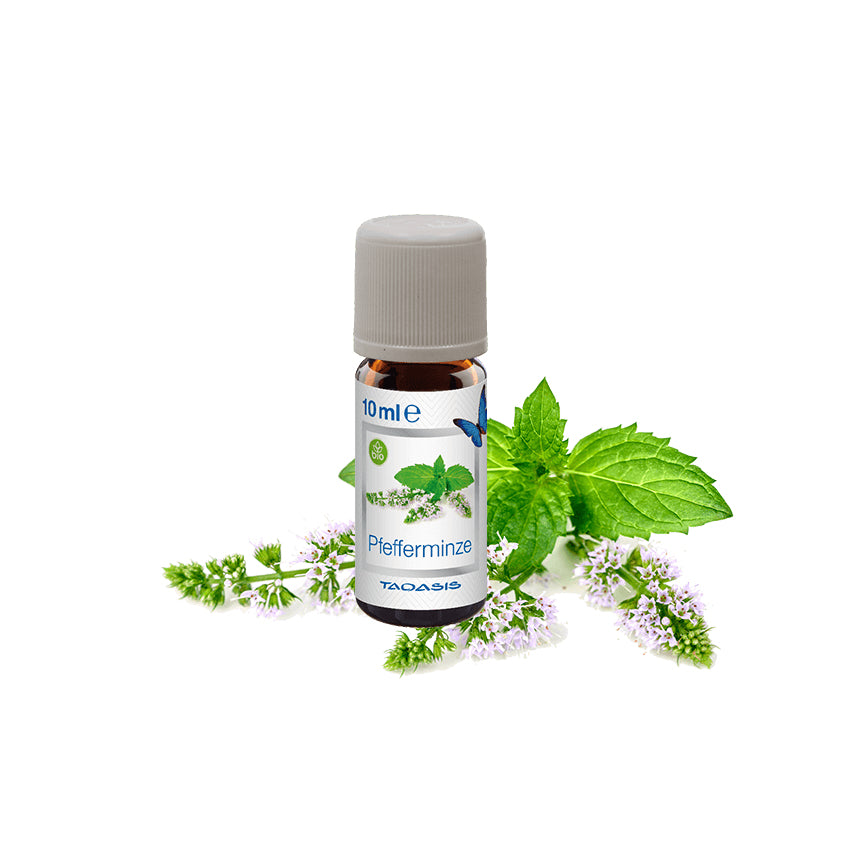 Venta Bio Pfefferminze – Duftöl, 3 × 10 ml