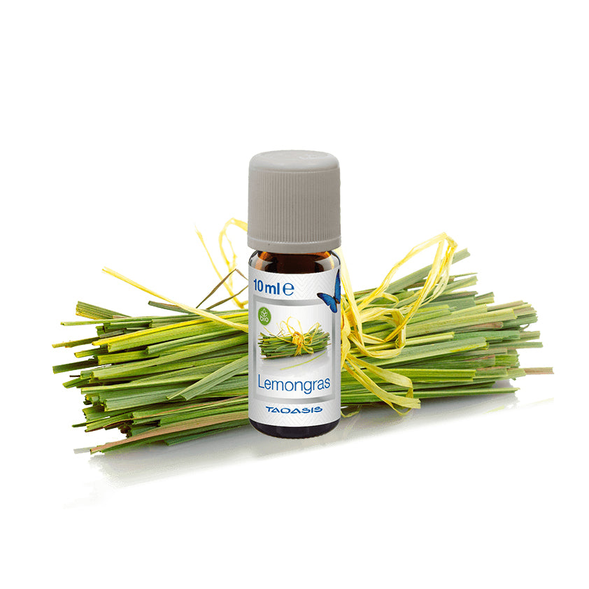 Venta Lemongras – Duftöl, 3 × 10 ml