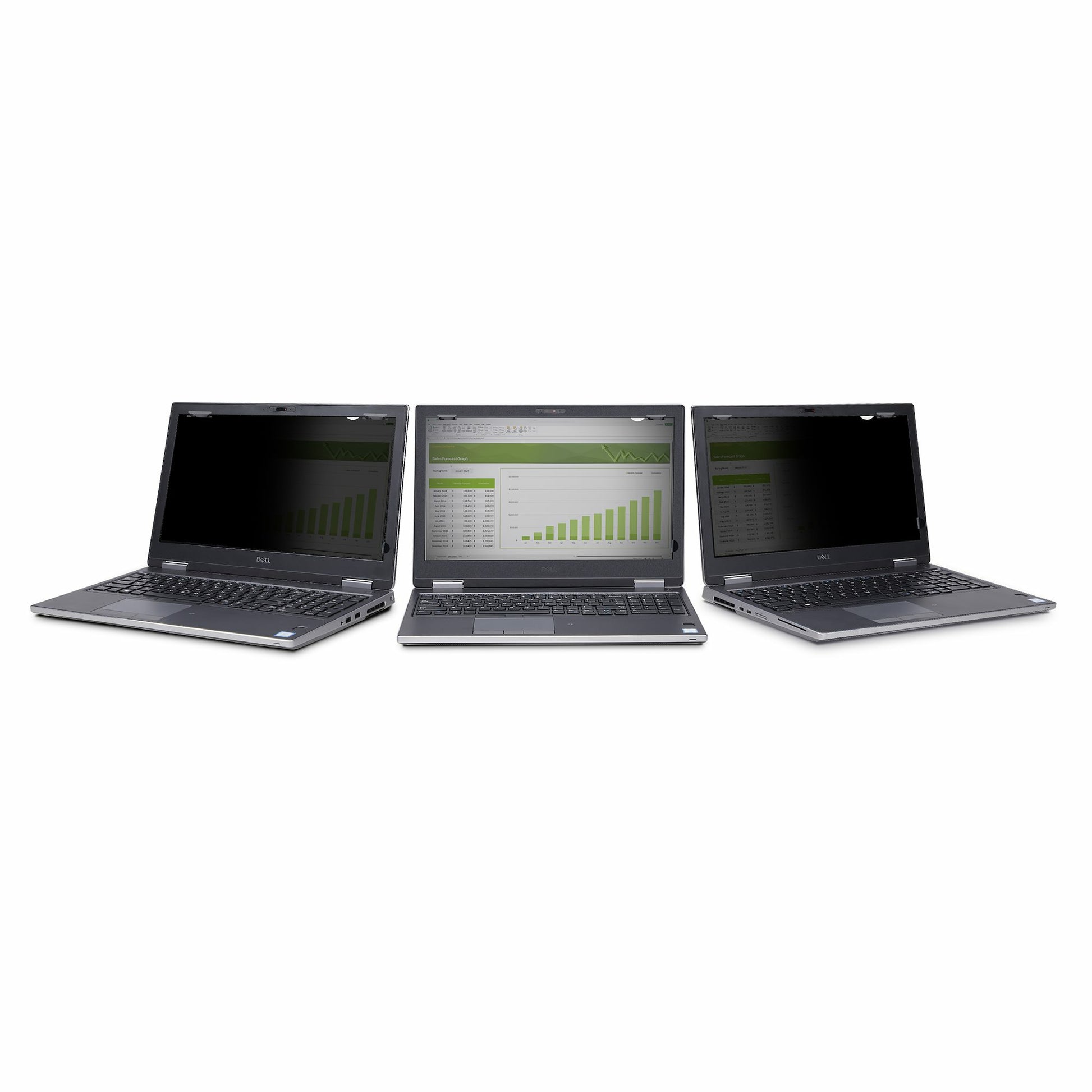 StarTech.com Displayschutz für 15,6" Laptop