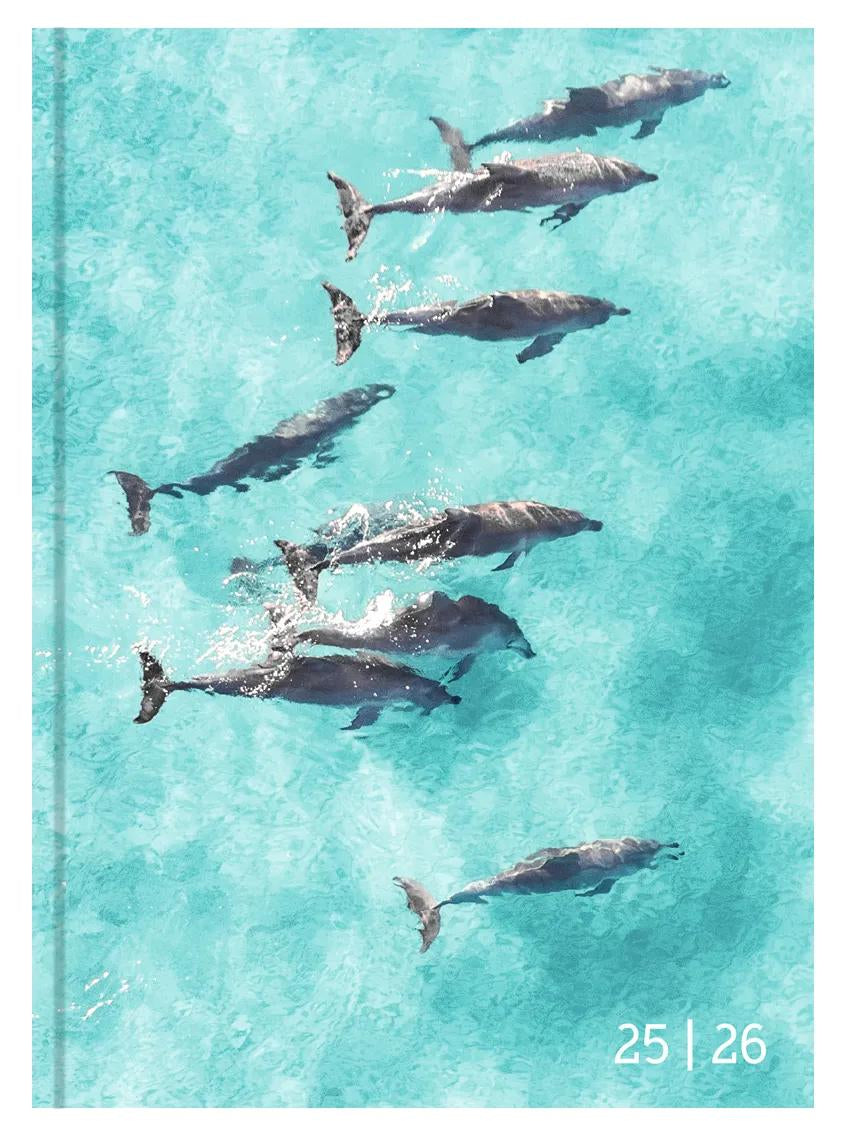 Biella mydiary Schüleragenda – 1 Tag pro Seite, gebunden, 12 × 16,5 cm, Aug–Jul, Animal, FSC