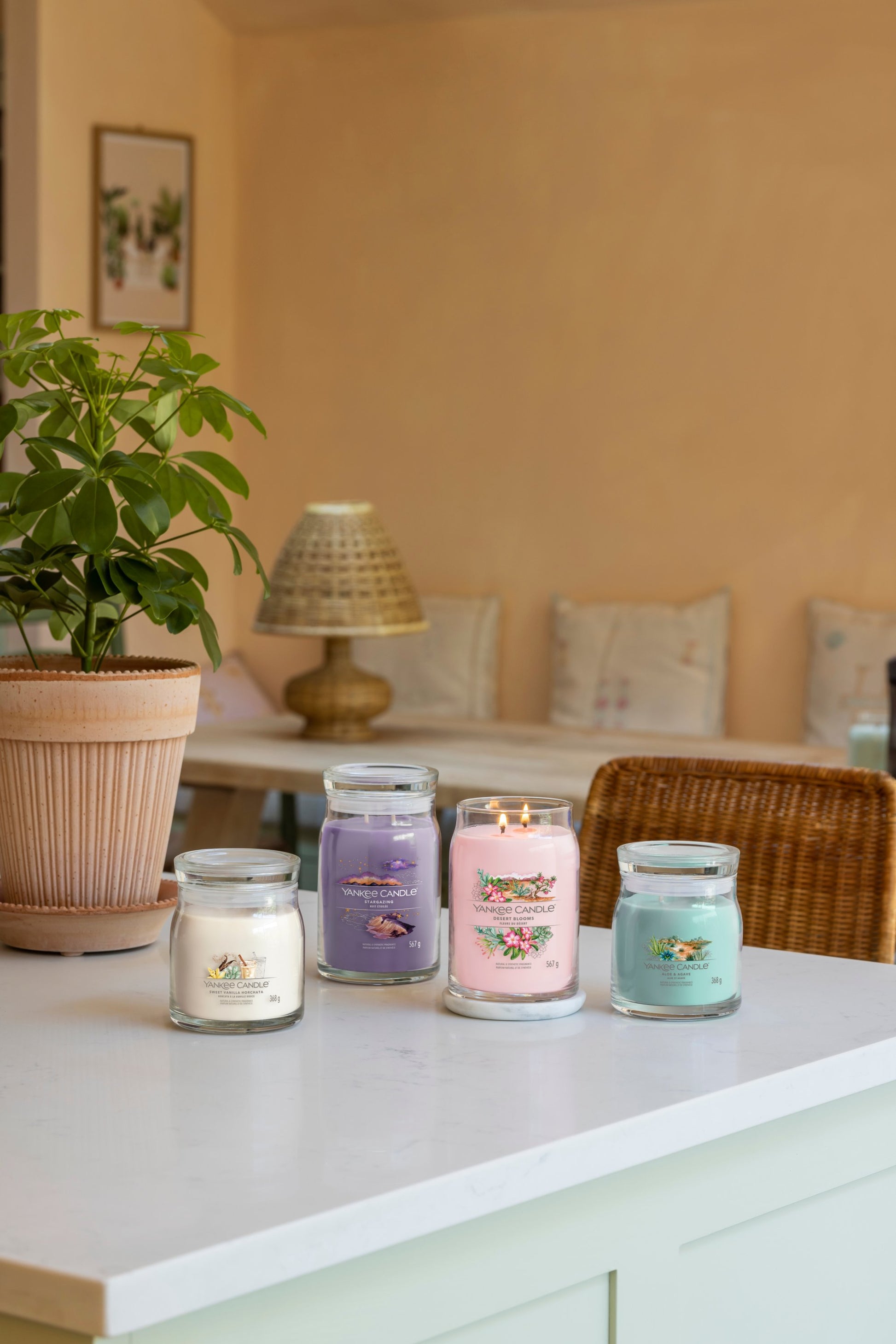 Yankee Candle Stargazing – Duftkerze, Grosses Glas