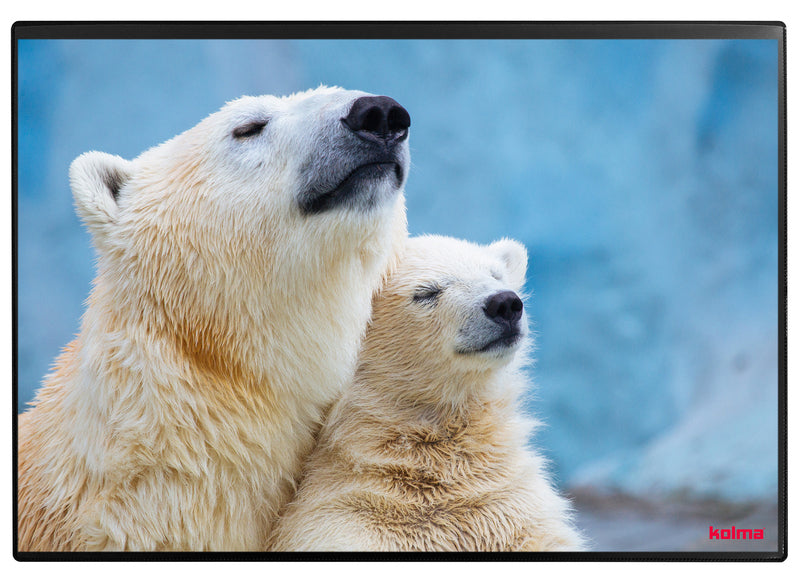 Kolma Schreibunterlage – Eisbär – 500 × 340 mm – Kunststoff, rutschfest