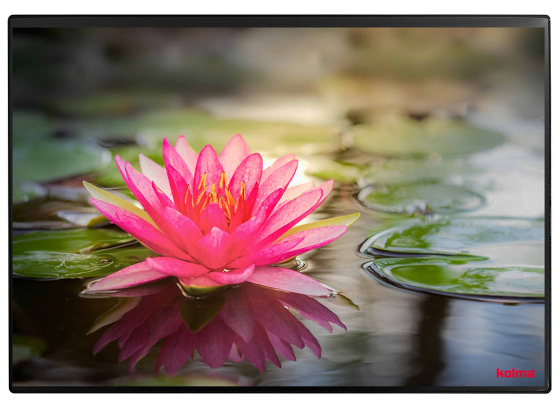 Kolma Schreibunterlage – Seerose – 500 × 340 mm – Kunststoff, rutschfest