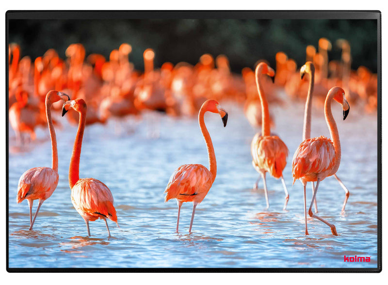 Kolma Schreibunterlage – Flamingos – 500 × 340 mm – Kunststoff, rutschfest