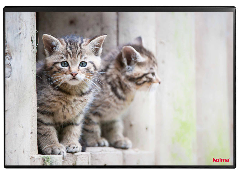 Kolma Schreibunterlage Undercover – Katze – 500 × 340 mm – Kunststoff, rutschfest