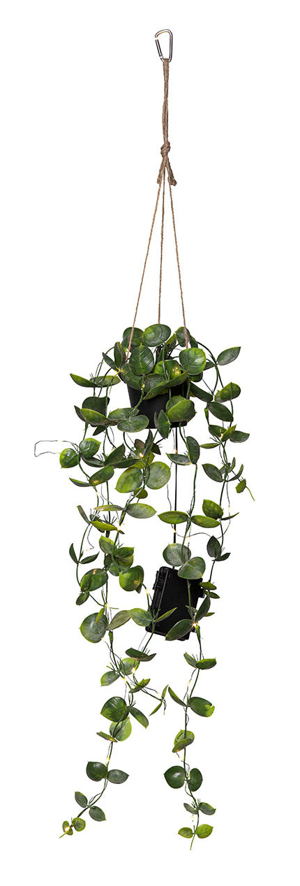 Star Trading Künstliche Pflanze – 60 cm – Kunststoff, Grün, 35 LEDs, Timer
