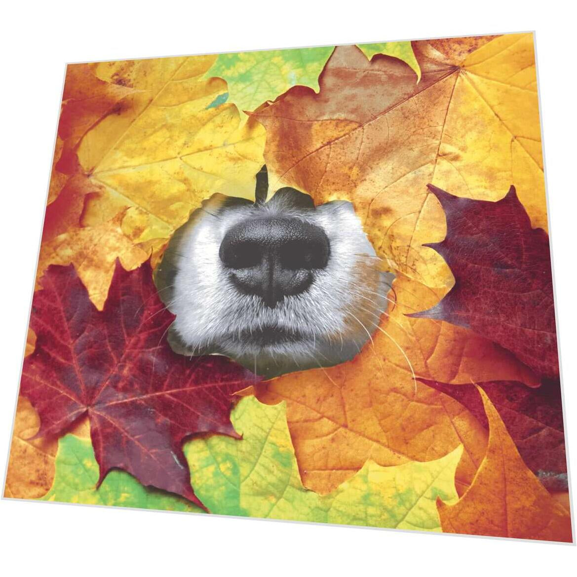 Paper + Design Servietten Hundenase – mehrfarbig – 33 × 33 cm, 3-lagig – 20 Stück
