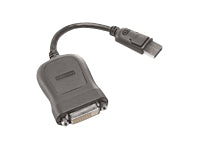 Lenovo DisplayPort (Stecker) zu DVI-D (Stecker) Adapter, 20 cm